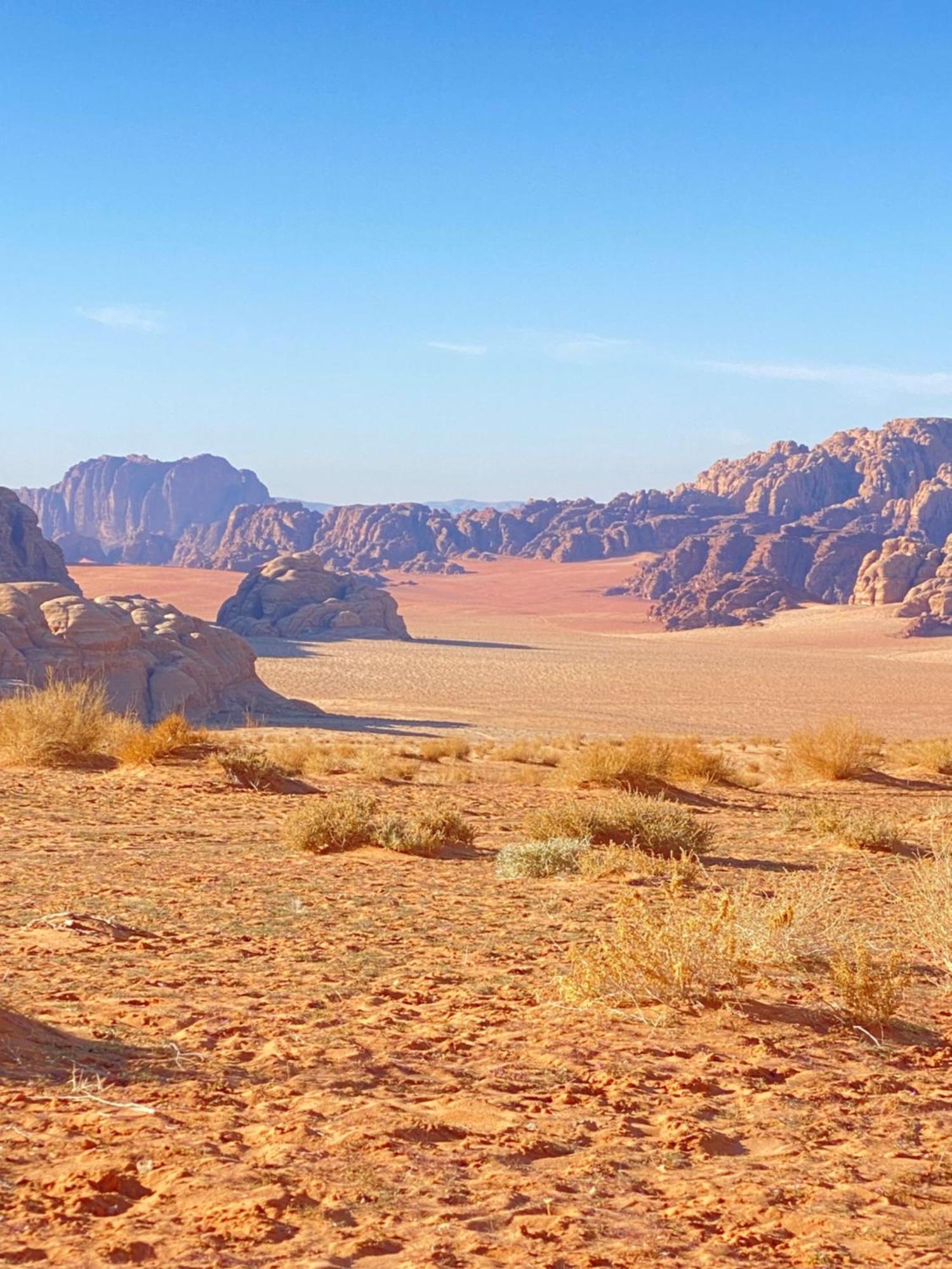 Tamim Luxury Wadi Rum Camp Eksteriør billede