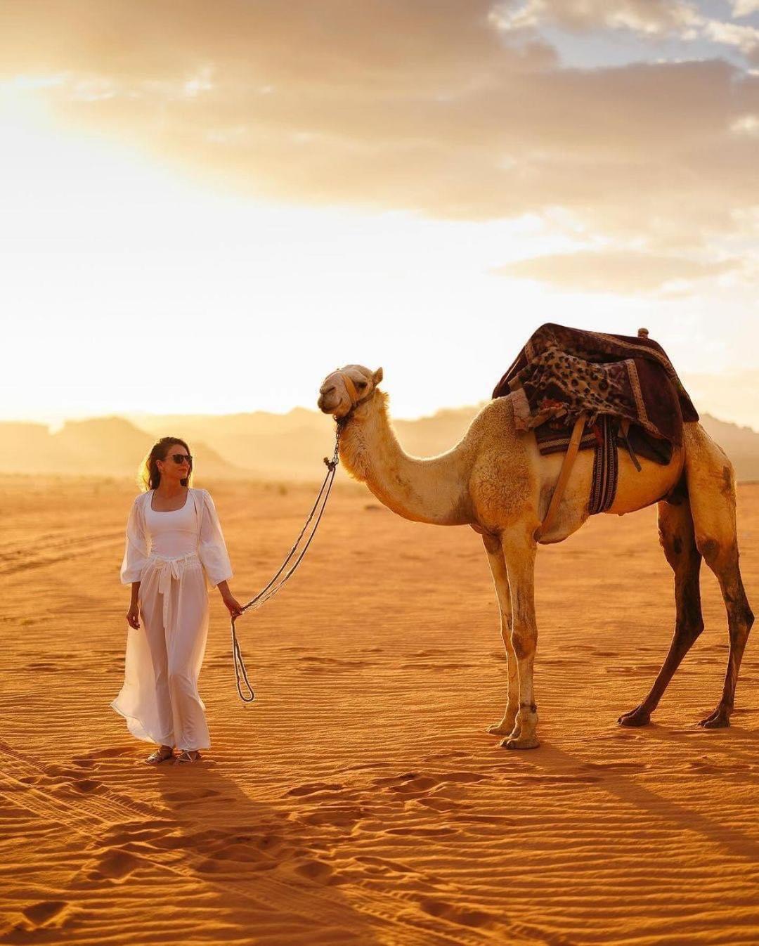 Tamim Luxury Wadi Rum Camp Eksteriør billede